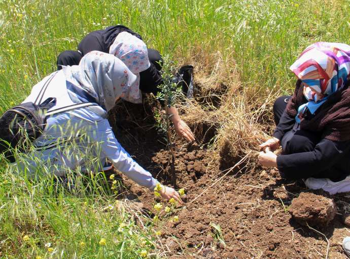 Bülbülzade Vakfı, Fidan Bağışı Kampanyası ile Kurtuluş Ormanını Yeşillendirdi